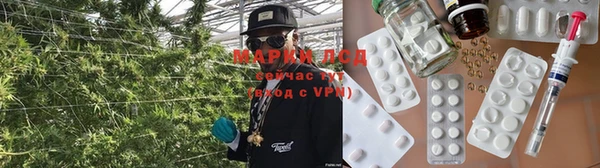 спиды Нефтегорск