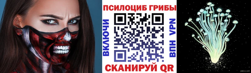 Псилоцибиновые грибы мухоморы  купить закладку  Нижняя Салда 